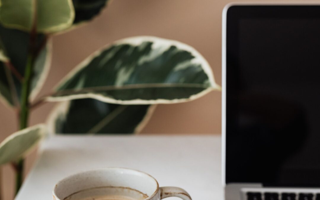 The best affiliate programmes